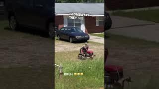 This dog was mowing the lawn 