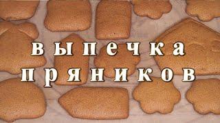 Выпечка пряников. Учимся работать с пряничным тестом.