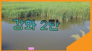 포인트 형성 최고!인데.. 개매너 똥꾼 최악! 복불복이구만.. / 강화도 2탄 망실지.