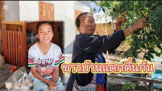 ถามย่าน้องส้มโอว่ารู้เห็นกับชาวบ้านไหม... 27 ธันวาคม ค.ศ. 2024