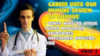 How to Attack Tumors Naturally. Why cancer survives without any food?