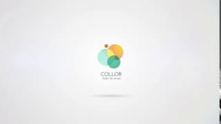 Clean & Professional Logo Animation 18