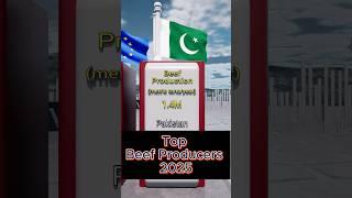 Biggest BEEF Producers in the World 2025 