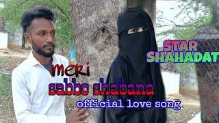 Sabbo shabana hua tera diwana official video song star shahadat