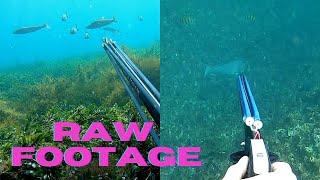 Spearfishing Solo in Western Australia (RAW FOOTAGE)