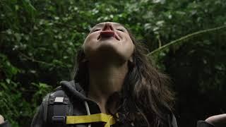 Tread Fearlessly with Lookout Credit Union