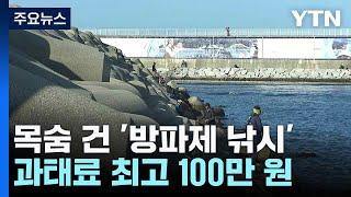 목숨 건 '방파제 낚시'...과태료 최고 100만 원 / YTN