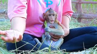 OMG...Poor Baby Monkey Lori Bite Mom, Wanna Release for What #Lovermonkeyhome