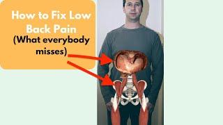 How to Fix Lower Back Pain (What Everyone Misses)