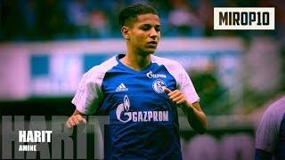   AMINE HARIT  SCHALKE 04  THE MAGIC LEGS  Skills & Goals  2017 