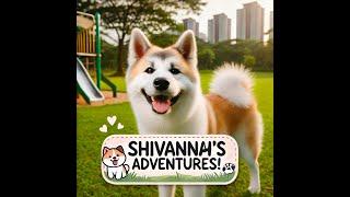 Akita Inu Shivannah's Fun Day at the Dog Park  | Cute & Playful Moments