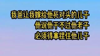 《爱恋间谍》