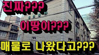 최대650평 가능한 신축부지 보시고 가실께요~!!!