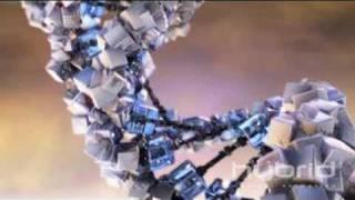 Hybrid Medical Animation DNA