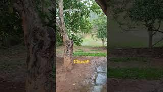 #sitio #fazenda #chuva