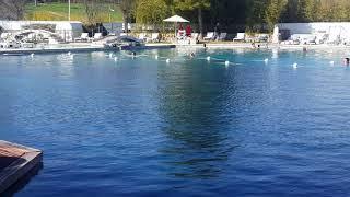 Le Terme di Saturnia: la Sorgente, il Parco e il Fiume prima che diventino le Cascate. Pre-Covid19.