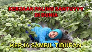 PEKERJAAN PALING SANTUYYY DI DUNIA