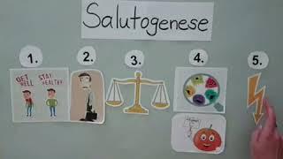 Salutogenese