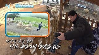 양 7마리와 정면 셀카 찍기! 계속된 실패에도 절대 포기하지 않는 열정훈 [1박 2일 시즌4/Two Days and One Night 4] | KBS 230129 방송