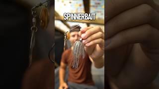 BEST Fishing Lures for Fall Bass Fishing!