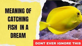 Catching Fish Dream Meaning | Dream about Catching Fish