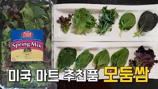 미국 쌈채소 모둠쌈 모듬쌈 추천 사야하는 것 손님초대 스프링 믹스 Spring mix 월마트 홀푸드 트레이더조 Korean Green Salad for Ssam BBQ