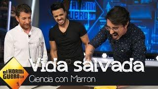 La ciencia de Marron que podría salvarte la vida  - El Hormiguero 3.0