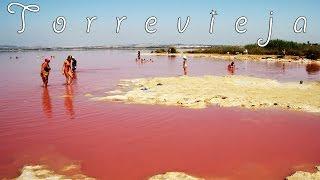 Torrevieja, Pink Salt Lake - Salinas de Torrevieja