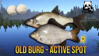 Bream Active Spot Old Burg - Russian Fishing 4