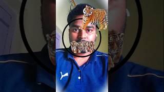 Tiger Puzzle circle challenge #shorts