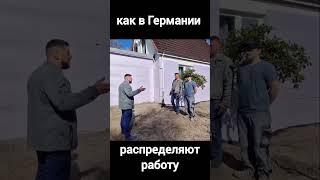 КАК РАСПРЕДЕЛЯЮТ РАБОТУ В ГЕРМАНИИ #дачникзаграницей