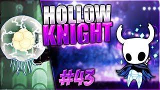 LA MUESCA DE AMULETOS PERDIDA Y UUMUU LA MEDUSA ELÉCTRICA | Hollow Knight #43