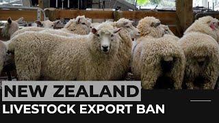 New Zealand: Export of live animals by sea to end this month