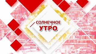 20.11.2024 Солнечное утро