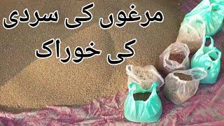 Aseel Murga ki Sardi ki khurak | Rooster Winter Food | Breading Season Feed