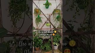 Home made bamboo planter stand  #viral #diy #plants #youtube #gardeningwithshivani05