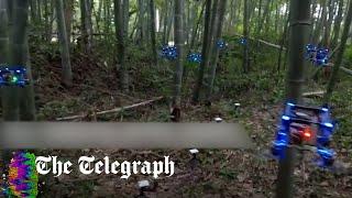 Researchers teach swarm of drones to navigate forest without crashing