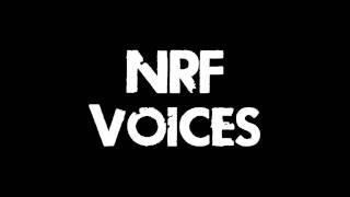 Alliance Of Valiant Arms: NRF Characters' voices HD