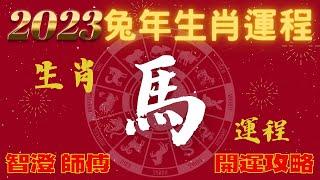 2023年 生肖運勢 兔年十二生肖運程預測 —【肖馬】 | 四季不同時段出生 屬馬運程 | 癸卯年開運攻略 | 12生肖運程 分析 | 愛情、事業、財運、健康全攻略 | 生肖運程 | 運勢預測 彩蛋