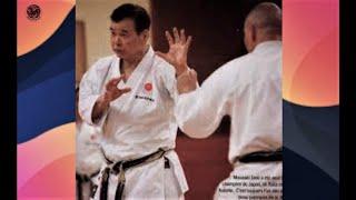 The Best Shotokan Karate Master  -  MASAAKI  UEKI #shotokan