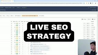 Live SEO Strategy for Business Website