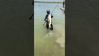 #fishing #pesca lobina gigante, pescada en la presa el cuchillo fue liberada