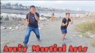 Arni's Tutorial for Beginner.
