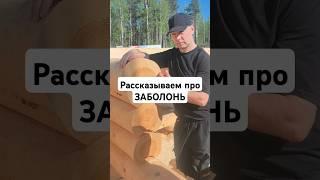 Заболонь / ГК Эверест / строительство загородных домов #баня