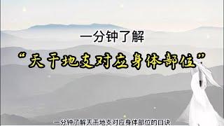 八字教学入门案例命盘怎么看，四柱八字预测， 天干地支对应的人体部位#传统文化#天干地支#易经#命理八字