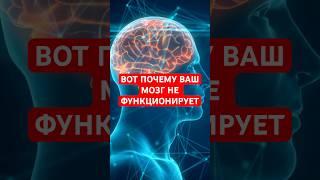 ТОП 5 ФАКТОВ О МОЗГЕ. #здоровье