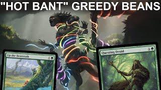 QUESTING FOR BEANS! Legacy 4-Color Bant Greedy Beans with Questing Druid and Up The Beanstalk. MTG