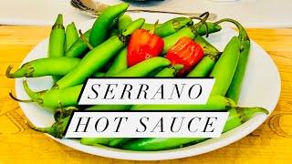 Green Serrano Pepper Hot Sauce | How to Make Easy and Delicious Homemade Hot Sauce