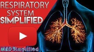 Respiratory System Made Easy