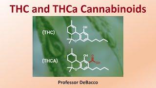 THC and THCa Cannabinoids